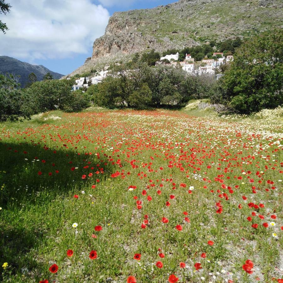 Tilos Island House Μεγάλο Χωριό Εξωτερικό φωτογραφία