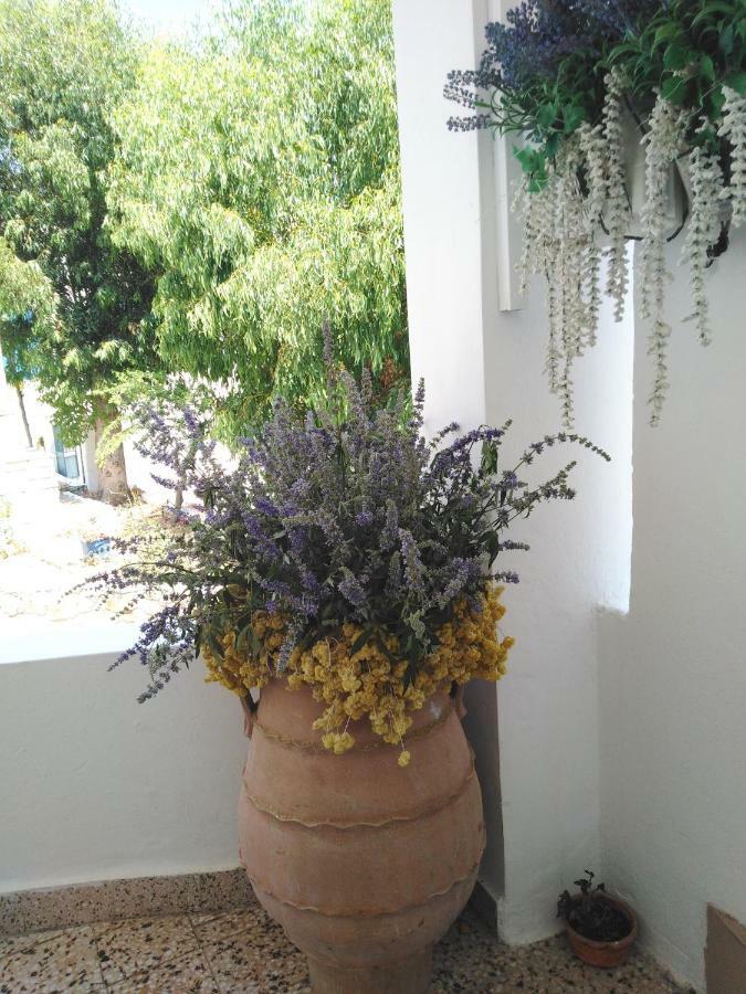Tilos Island House Μεγάλο Χωριό Εξωτερικό φωτογραφία